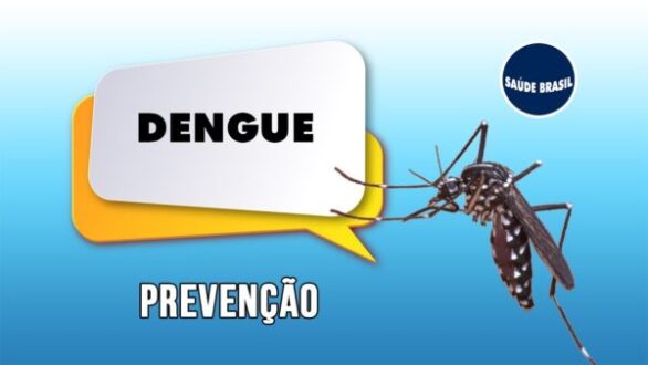 Número de casos de dengue EM 2022, soma quase três vezes o total de notificações do ano passado