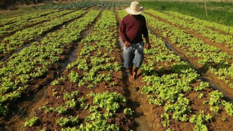 Diretrizes para a emissão da SAF/RN são estabelecidas nesta quarta