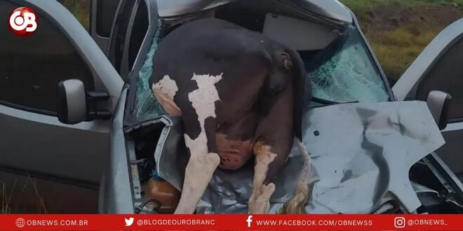 Carro ficou destruído após bater em vaca