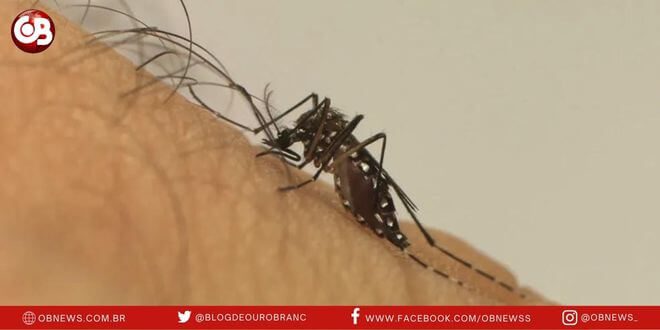 Sesap informa 1.162 casos de dengue notificados