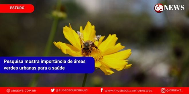 Pesquisa mostra importância de áreas verdes urbanas para a saúde