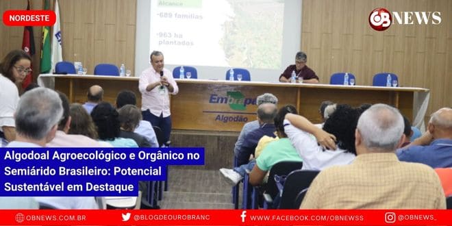 Algodoal Agroecológico e Orgânico no Semiárido Brasileiro: Potencial Sustentável em Destaque