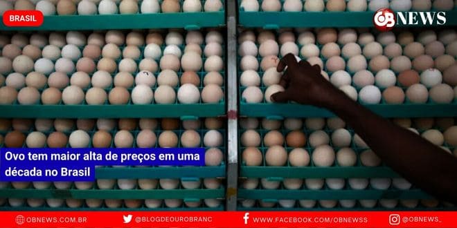 Ovo de galinha tem maior alta de preços em uma década