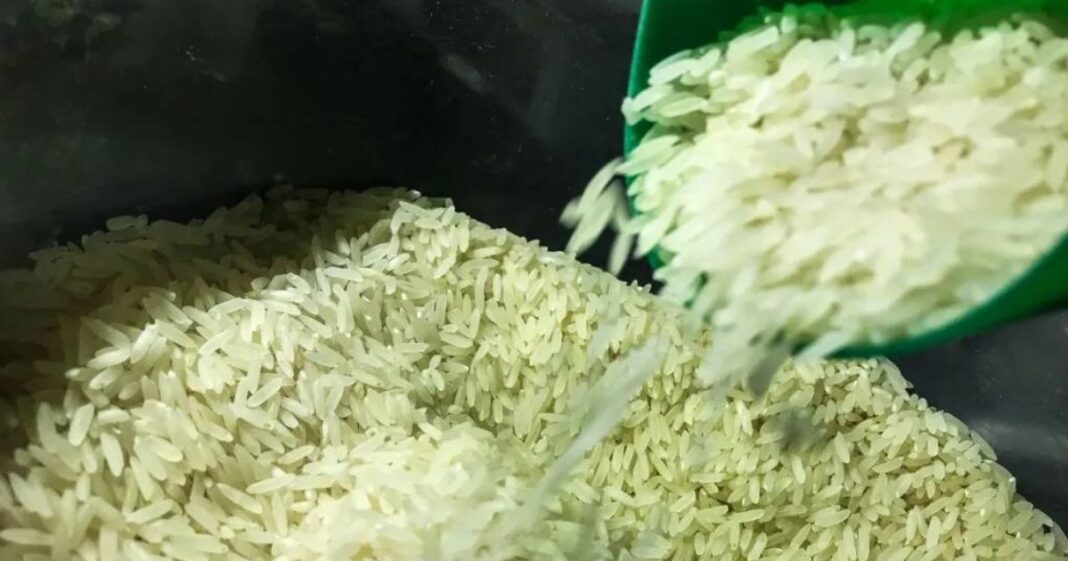 Governo vai subsidiar arroz importado
