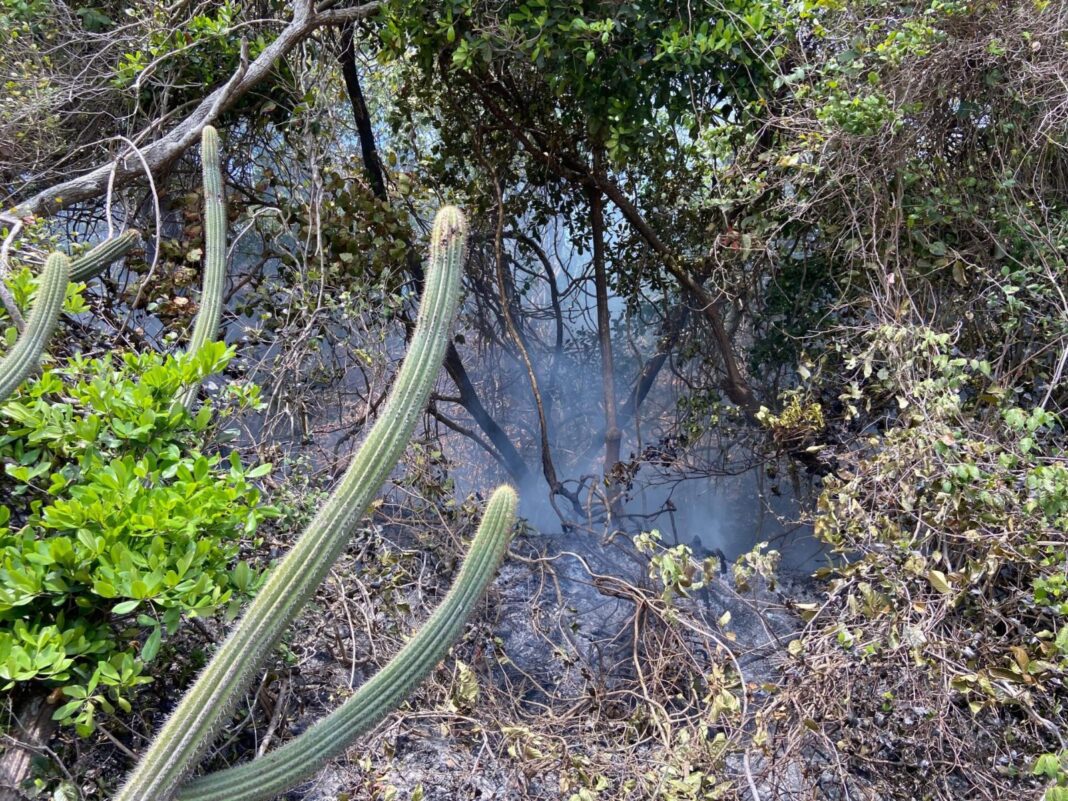 Incêndio criminoso atinge Parque das Dunas em Natal