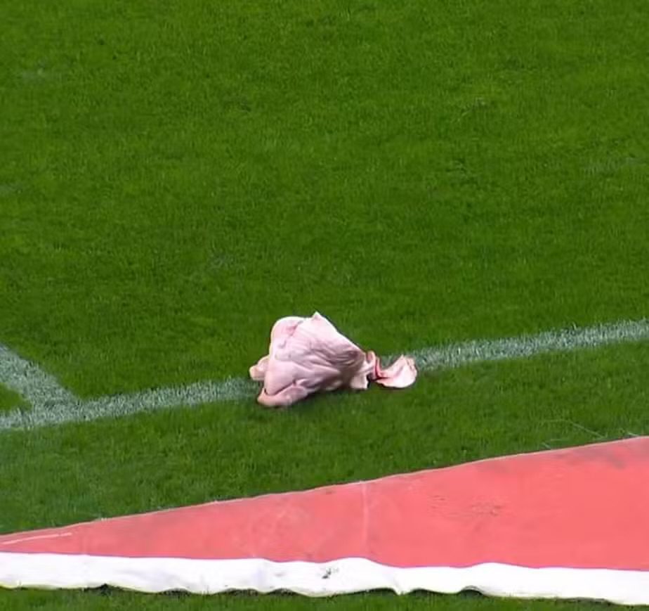 CABEÇA DE PORCO É ARREMESSADA EM CAMPO DURANTE CORINTHIANS X PALMEIRAS