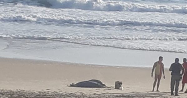 Corpo é encontrado na praia de Areia Preta em Natal na manhã desta sexta-feira (22)