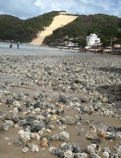 Material semelhante a corais aparece na areia da praia de Ponta Negra e preocupa banhistas