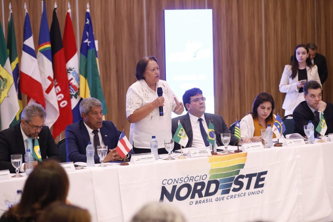 Restauração da Caatinga e desenvolvimento sustentável no semiárido estão entre os focos do acordo entre BNDES e Consórcio NE