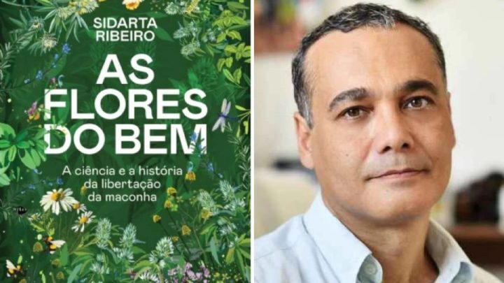 Sidarta Ribeiro conquista direito de cultivar maconha para uso medicinal